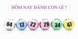 hom nay danh con gi mien bac