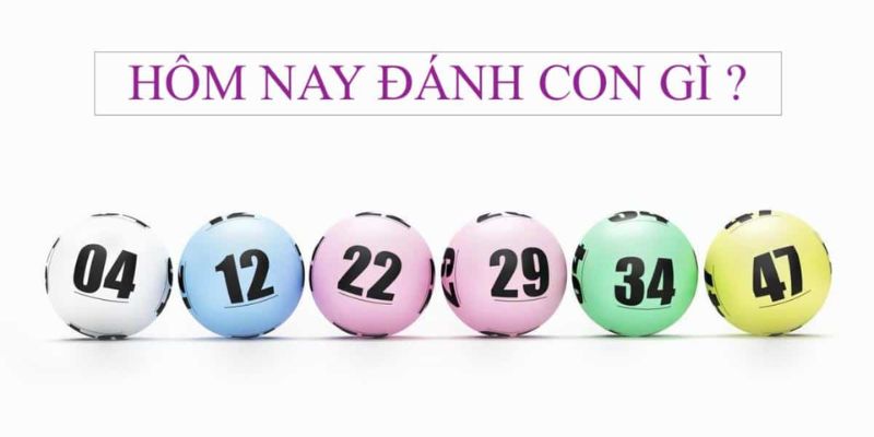 hom nay danh con gi mien bac