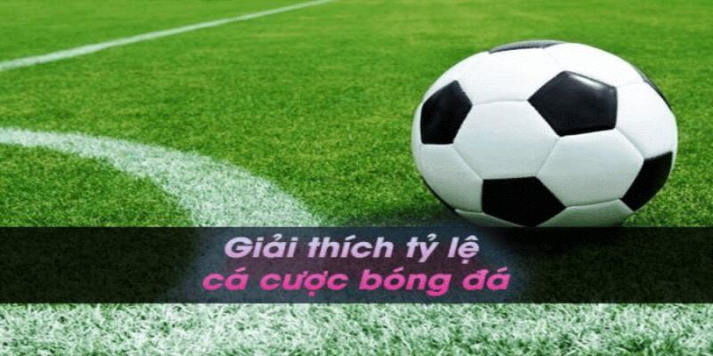 Tỷ lệ cá cược bóng đá 188BET chi tiết cập nhật và mới nhất 4 Chiến thuật và mẹo giúp bạn cá cược bóng đá hiệu quả